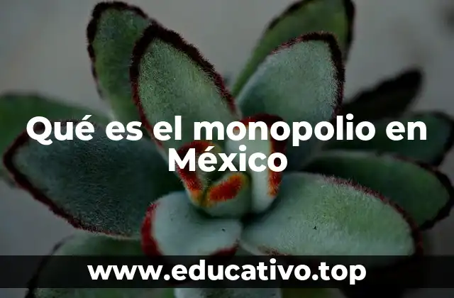 El impacto del monopolio en la economía mexicana