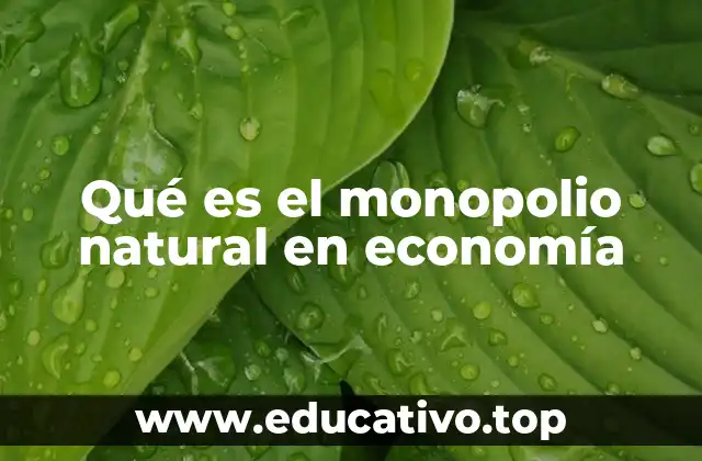Características que definen al monopolio natural