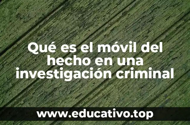 Qué es el móvil del hecho en una investigación criminal