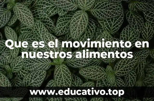 Que es el movimiento en nuestros alimentos