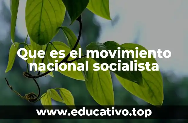 Que es el movimiento nacional socialista