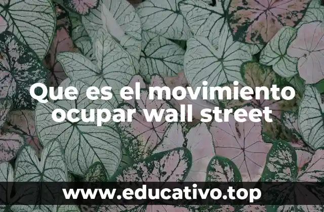Que es el movimiento ocupar wall street