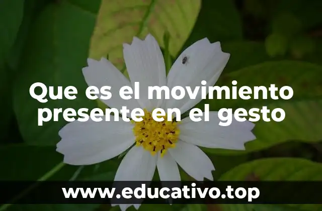 Que es el movimiento presente en el gesto