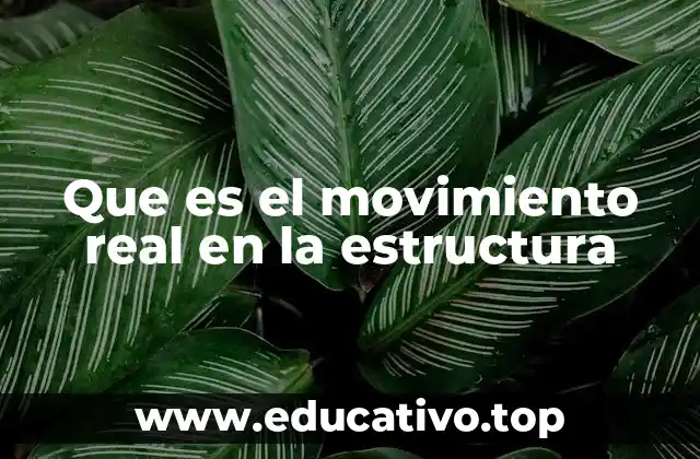Que es el movimiento real en la estructura