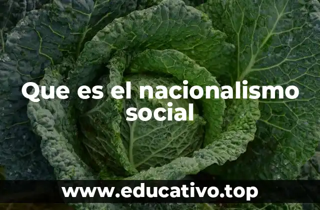 Que es el nacionalismo social