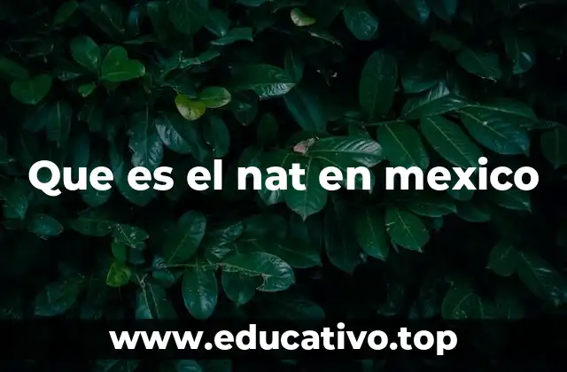 Que es el nat en mexico
