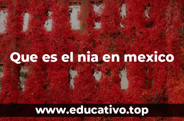 El impacto del NIA en la sociedad mexicana