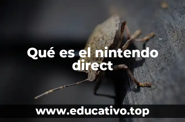 Qué es el nintendo direct