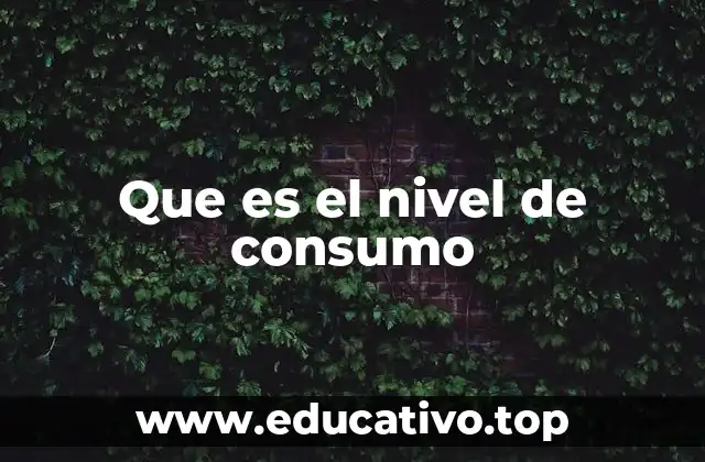 Que es el nivel de consumo