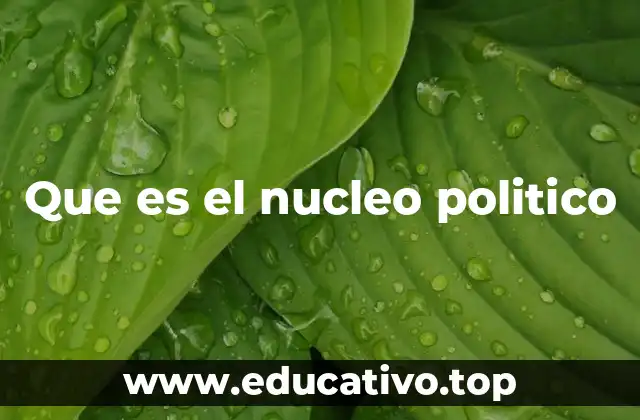 Que es el nucleo politico