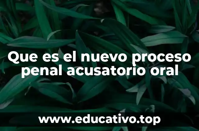 El impacto del nuevo modelo en la justicia penal