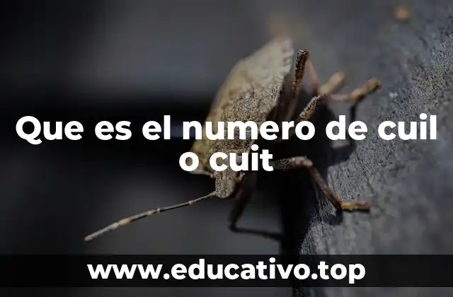 Que es el numero de cuil o cuit