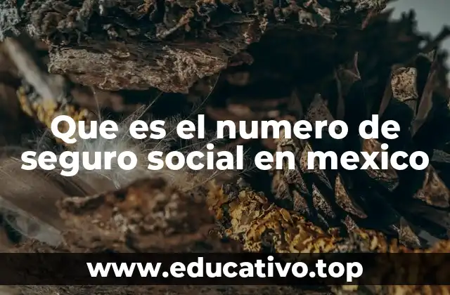 Que es el numero de seguro social en mexico