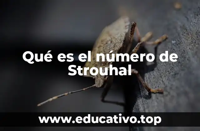 Qué es el número de Strouhal
