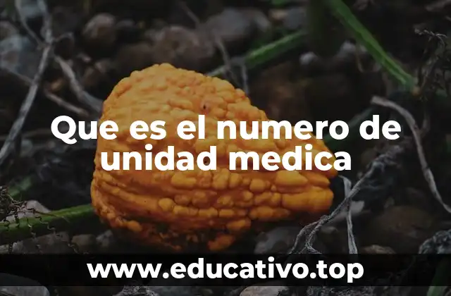 Que es el numero de unidad medica