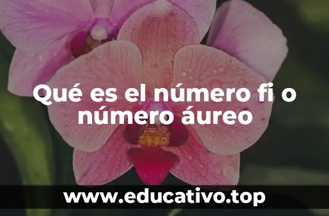 Qué es el número fi o número áureo