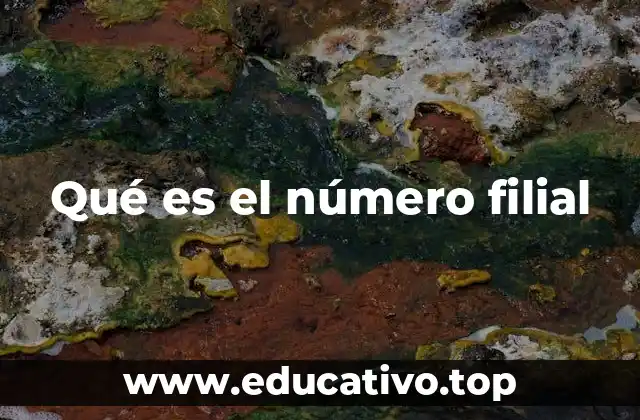 Qué es el número filial