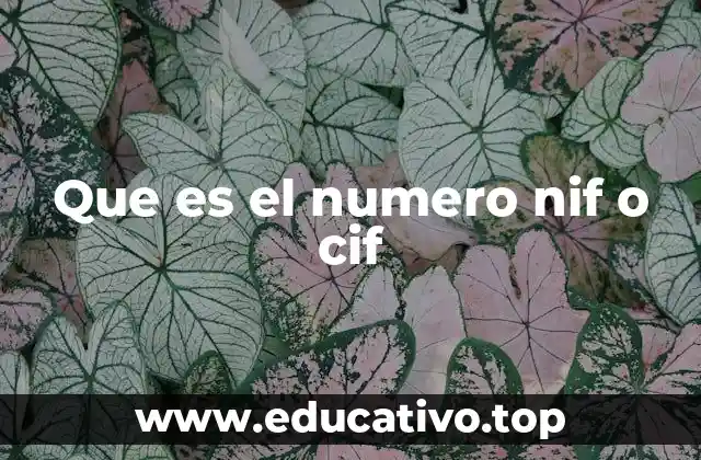 Que es el numero nif o cif