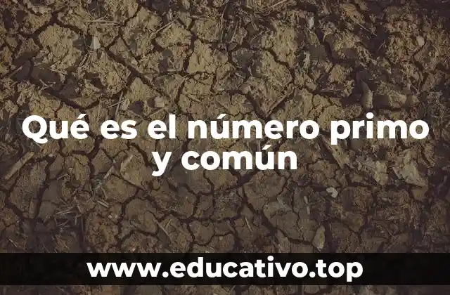 Qué es el número primo y común