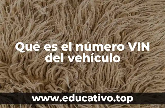 Qué es el número VIN del vehículo