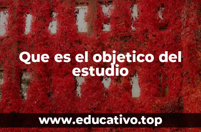 Que es el objetico del estudio