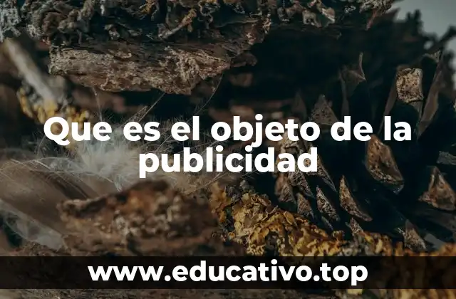 Que es el objeto de la publicidad