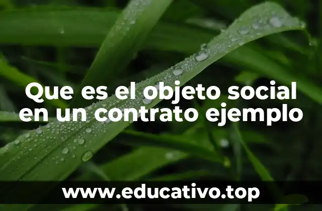 La importancia del objeto social en los contratos mercantiles