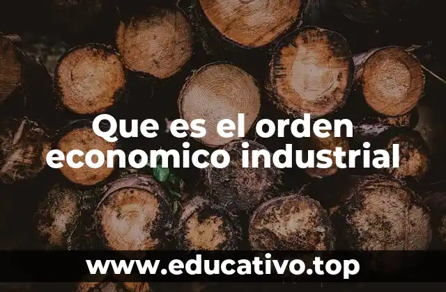 Que es el orden economico industrial