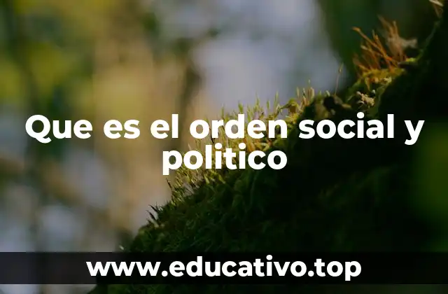 Que es el orden social y politico