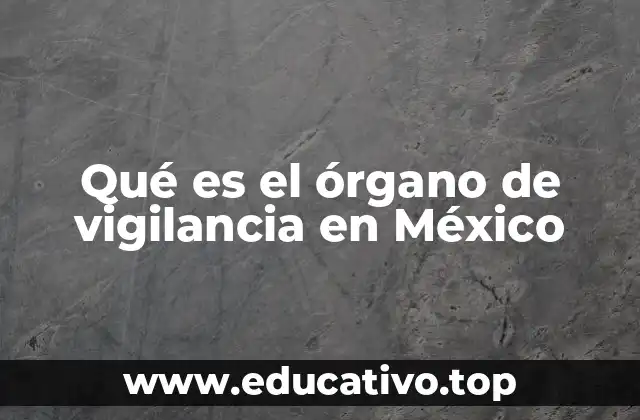 Qué es el órgano de vigilancia en México