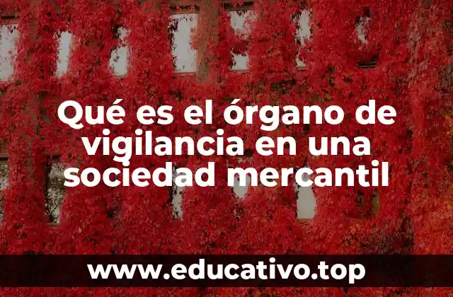 Qué es el órgano de vigilancia en una sociedad mercantil
