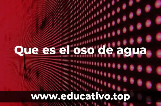 Que es el oso de agua