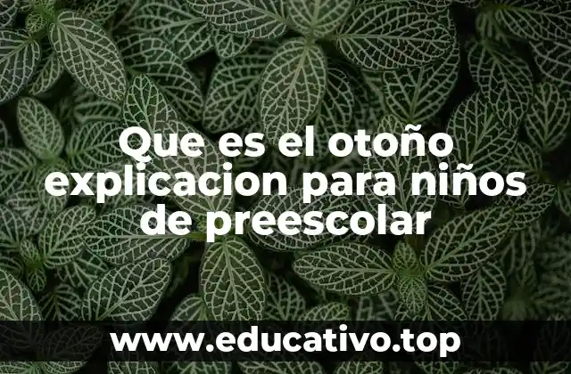 Que es el otoño explicacion para niños de preescolar