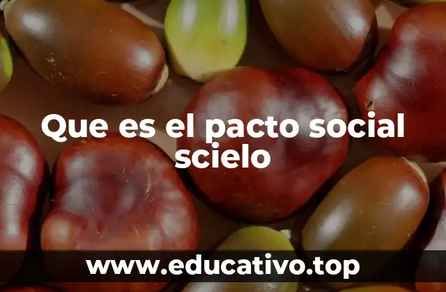 Que es el pacto social scielo