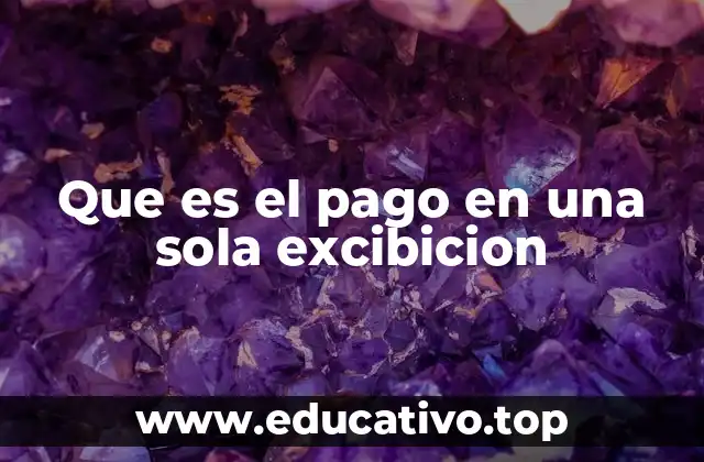Que es el pago en una sola excibicion