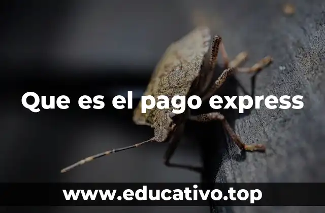 Que es el pago express