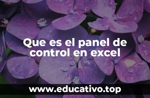 Que es el panel de control en excel
