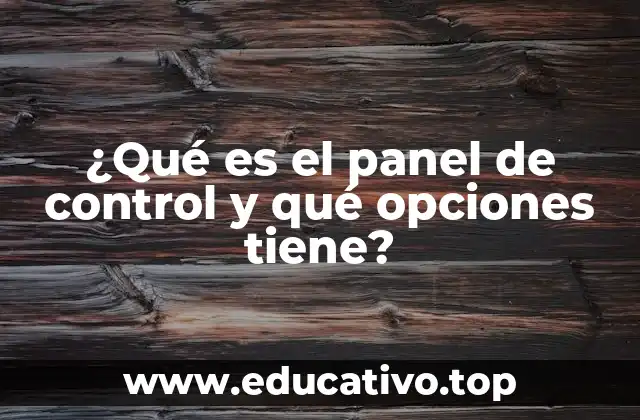 ¿Qué es el panel de control y qué opciones tiene?
