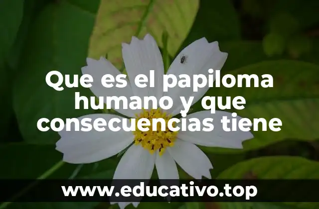 Cómo se transmite el virus del papiloma humano