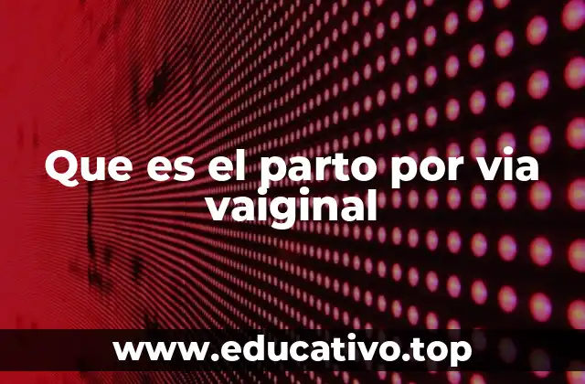 Que es el parto por via vaiginal