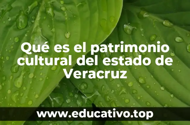 Qué es el patrimonio cultural del estado de Veracruz