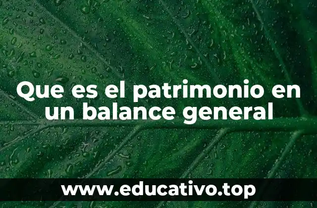 Que es el patrimonio en un balance general