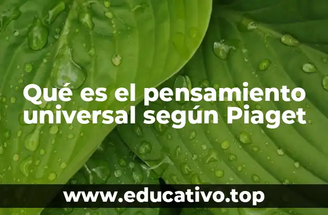 Qué es el pensamiento universal según Piaget