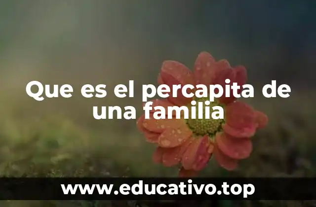 Que es el percapita de una familia