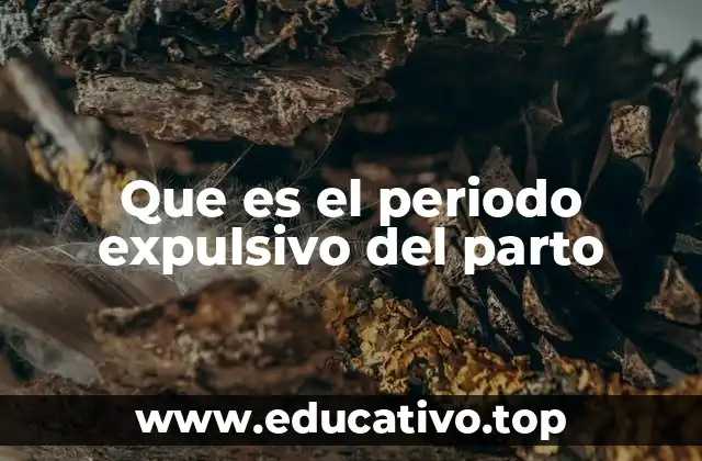 Que es el periodo expulsivo del parto