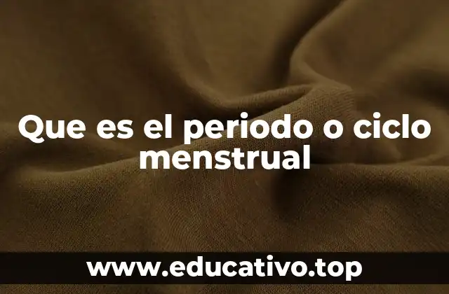 El funcionamiento del ciclo menstrual en el sistema reproductivo femenino