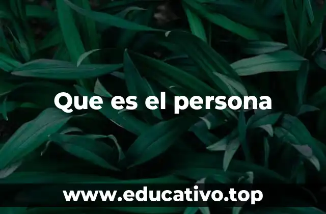 Que es el persona