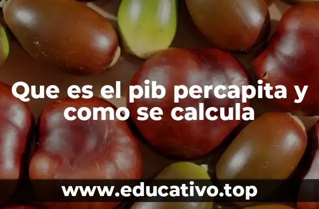 Que es el pib percapita y como se calcula