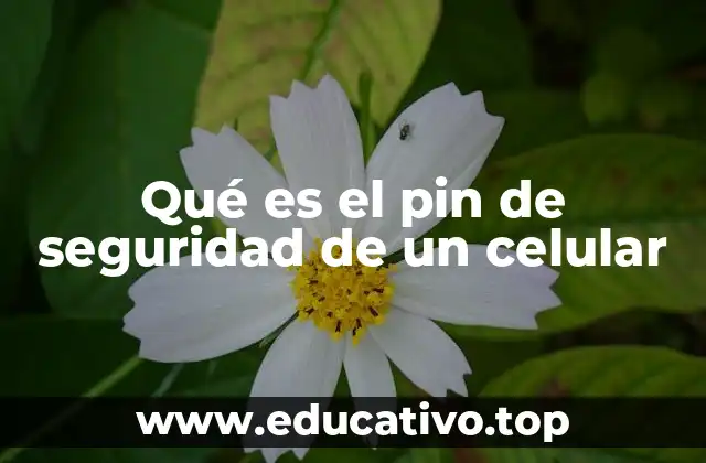 Qué es el pin de seguridad de un celular