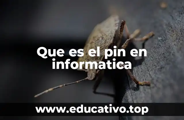 La importancia del pin en los sistemas de autenticación
